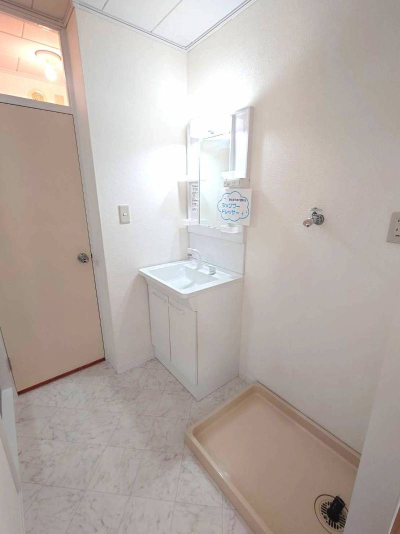 洗面室：室内洗濯機置き場、シャンプードレッサー