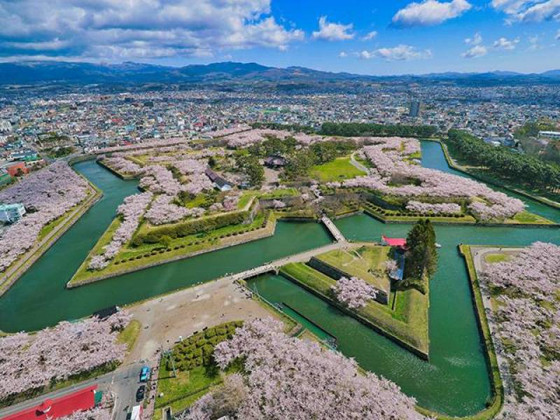 五稜郭公園まで散歩はいかが
♬徒歩8分です。