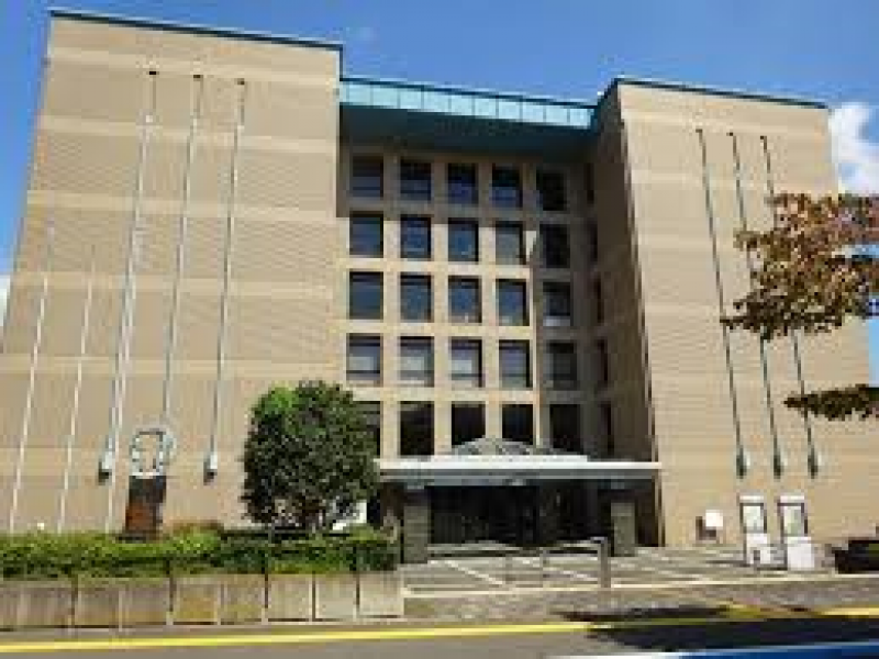 市役所は徒歩10分