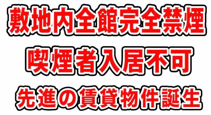 横幅３０６センチ。　縦幅最長５３０センチの広々。