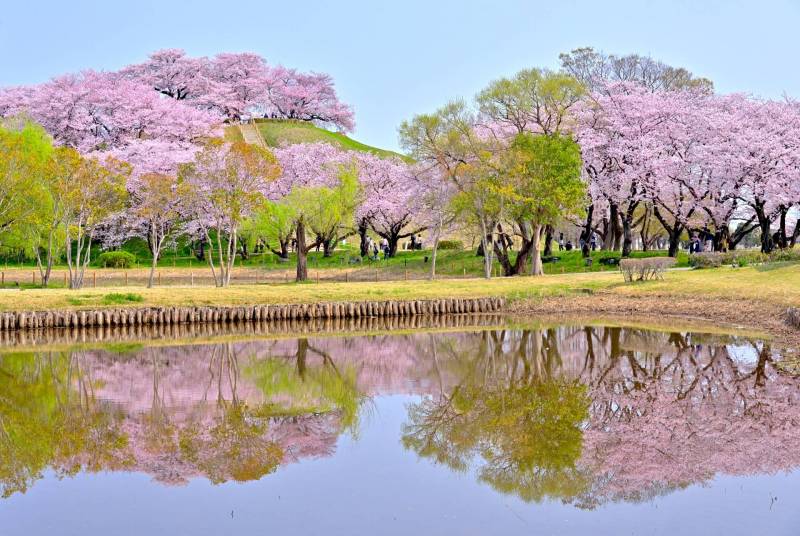 さきたま古墳公園