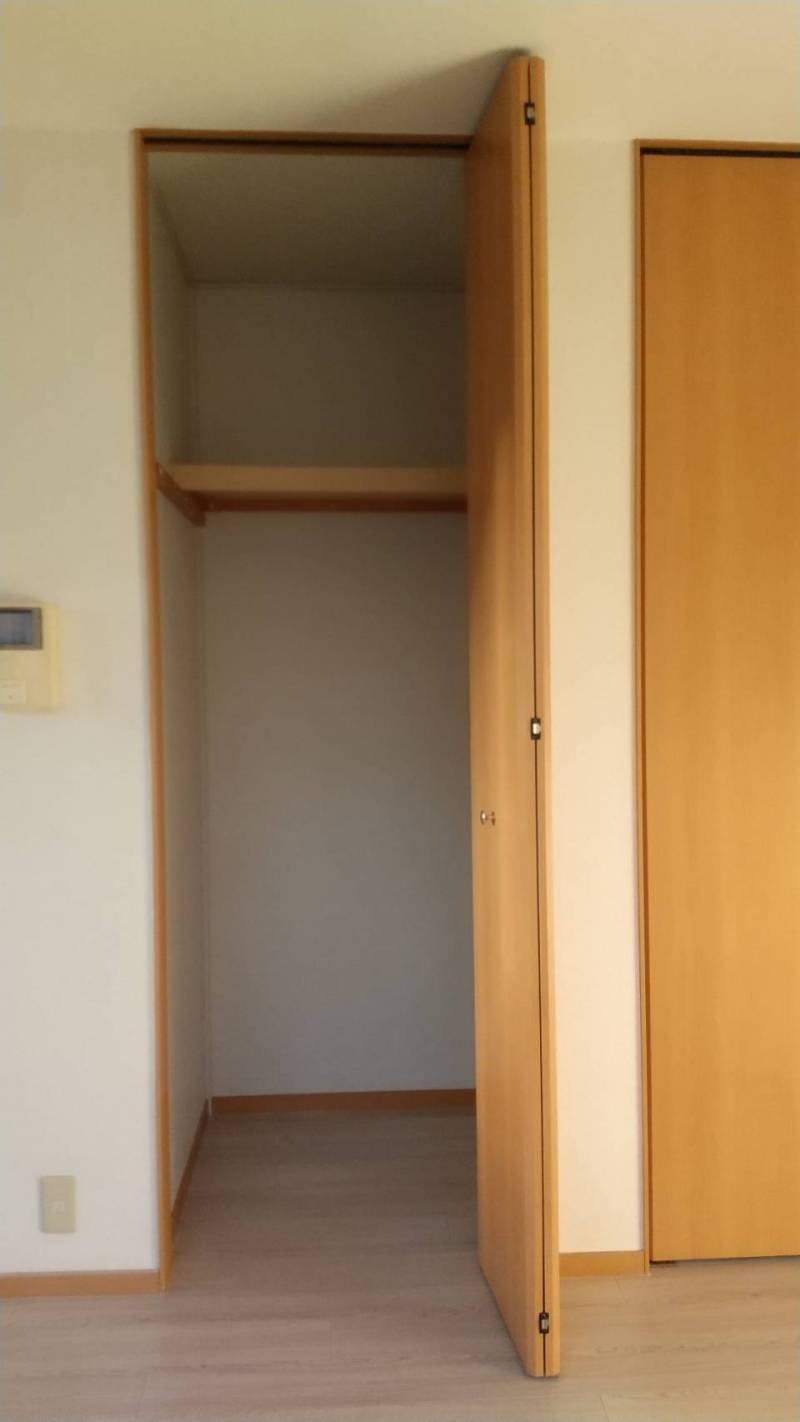 洋室にクローゼットが二つあり、そのうちの一つです。