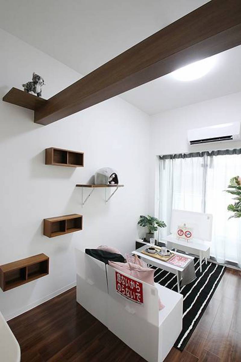 お部屋には猫ちゃん用ドア、登り棚、キャットウォークを完備。