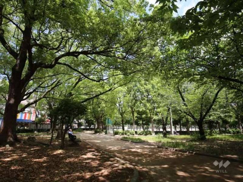 宮前公園で癒しの時を！