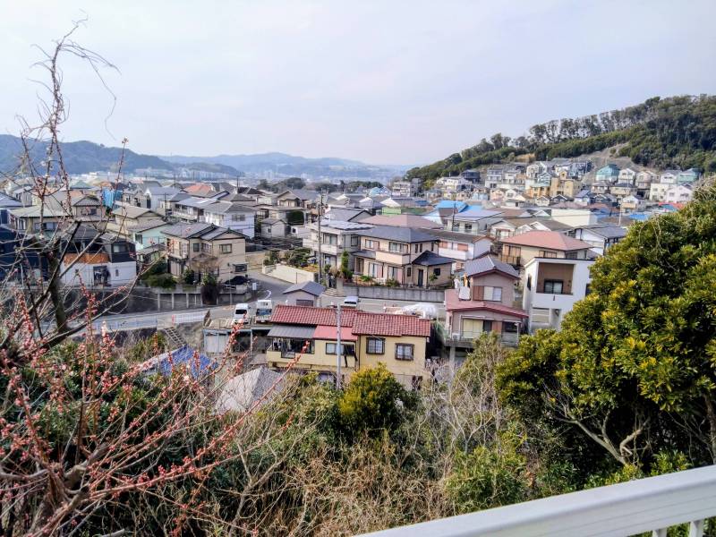 バルコニーからの眺望