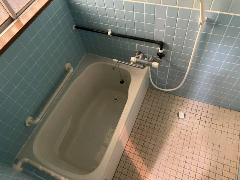 バス
