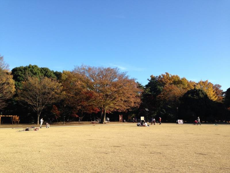 広い芝生のグランドも徒歩3分