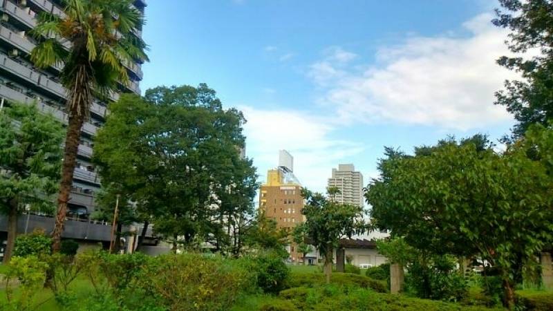 広域避難所でもある長田北公園