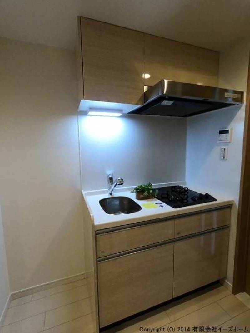 2口ガスコンロ付きシステムキッチンです