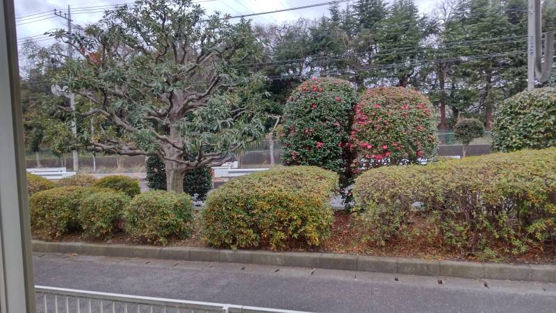 窓からの眺めはまるで庭園。癒してくれます！
