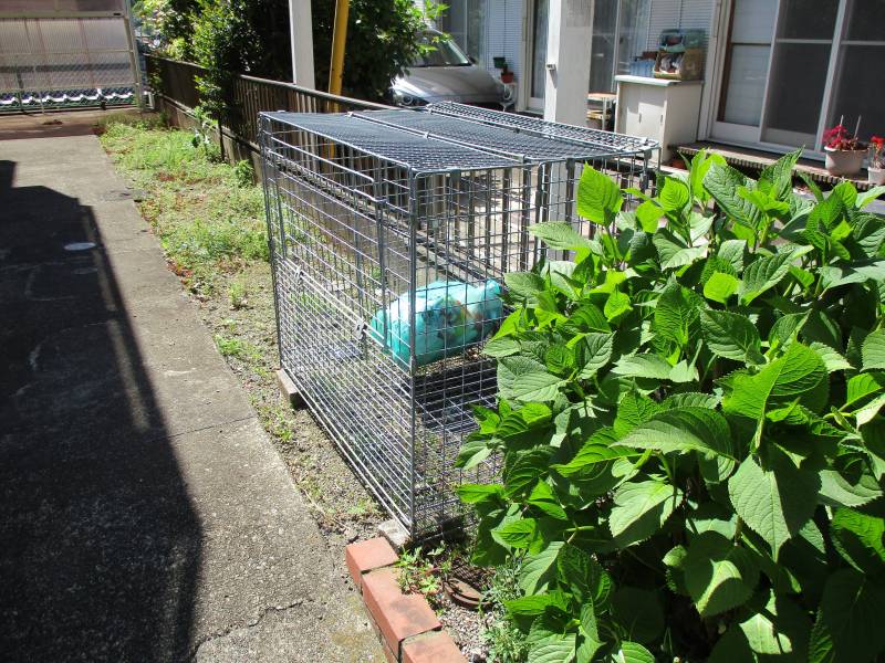 ゴミ捨て場