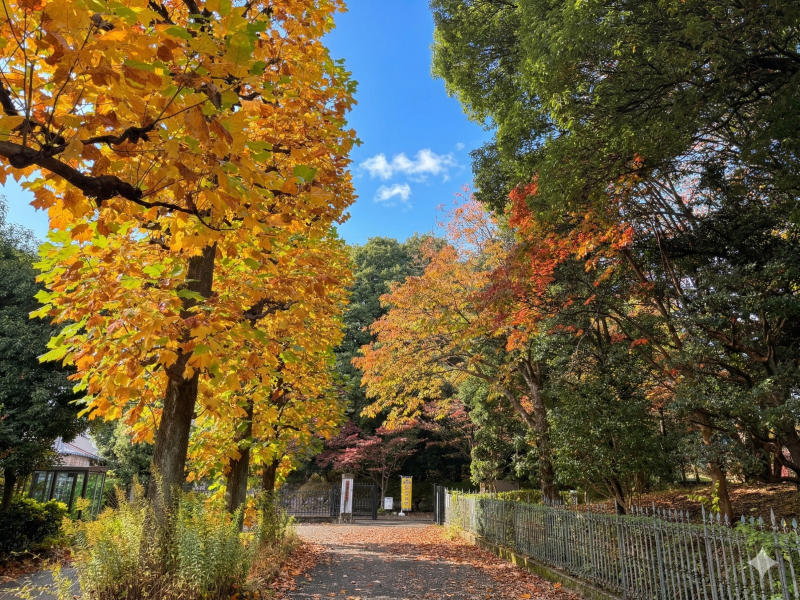 栃木県中央公園至近！