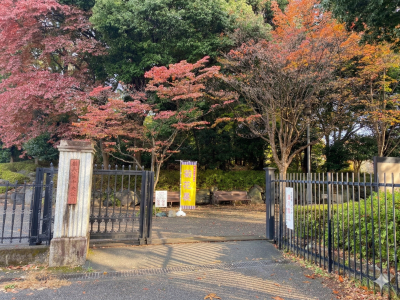 栃木県中央公園至近！