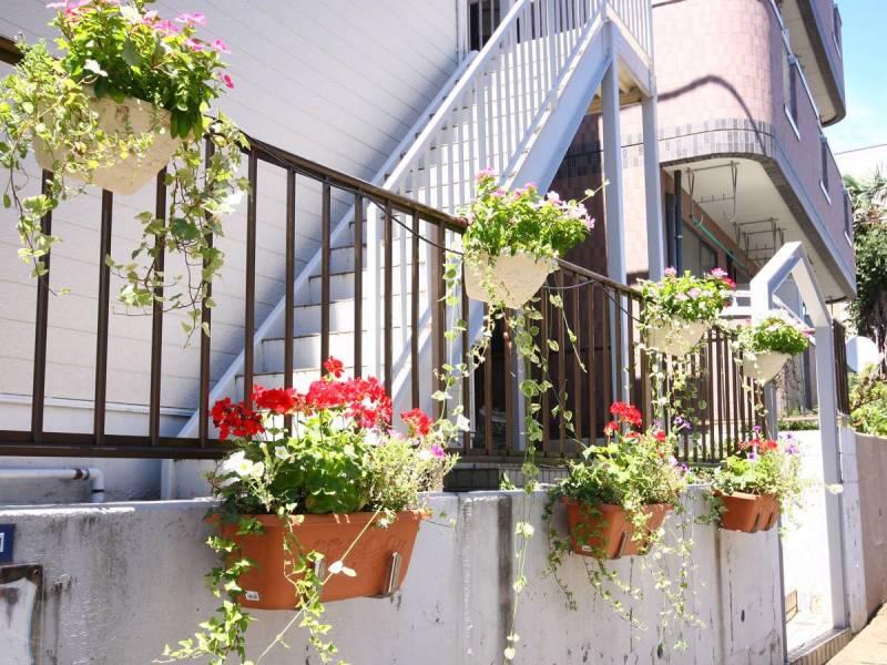 季節の花で癒されます♪