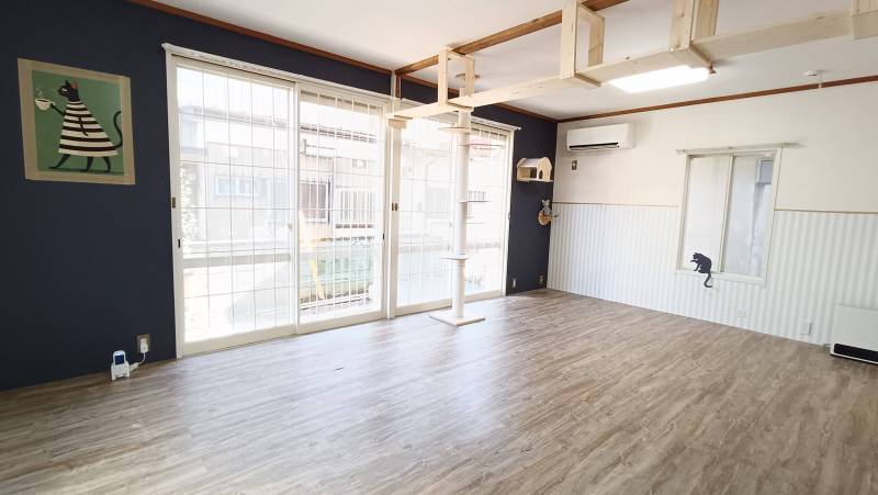 天井からキャットウォーク