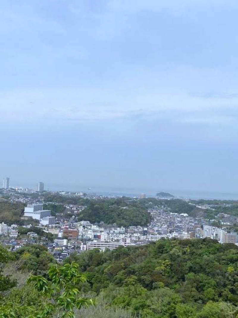 衣笠山頂上からは、横須賀の街を一望。毎日のお散歩に最適♪