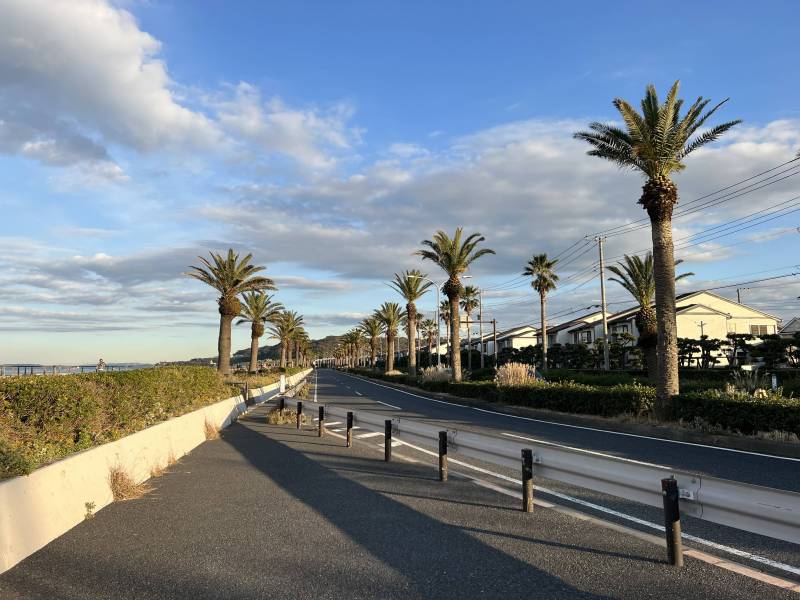 少し歩くと海外のような景色が。散歩に最高です