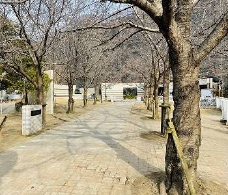 近くの公園
花咲公園