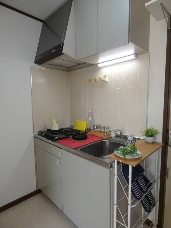 ビルトイン２口ガスコンロ付きの大きめのシステムキッチンです