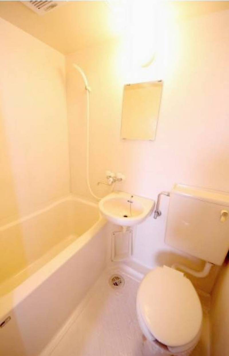 シャワーカーテンプレゼント