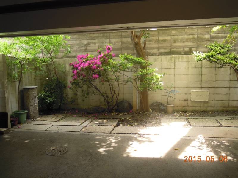 １階　東の奥の庭