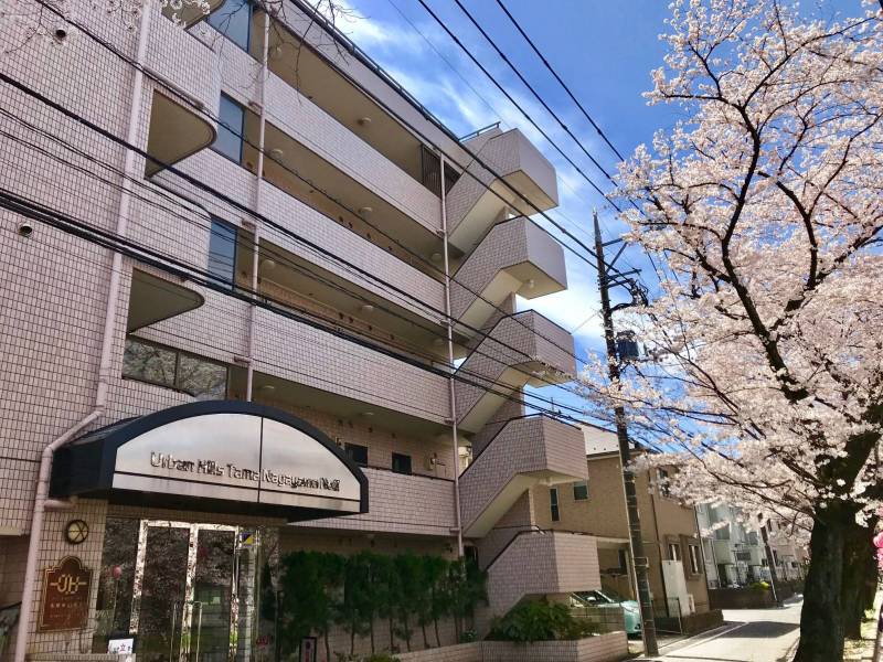 重厚なタイル張りの外観。周辺は自然もあり、住みよい住環境です