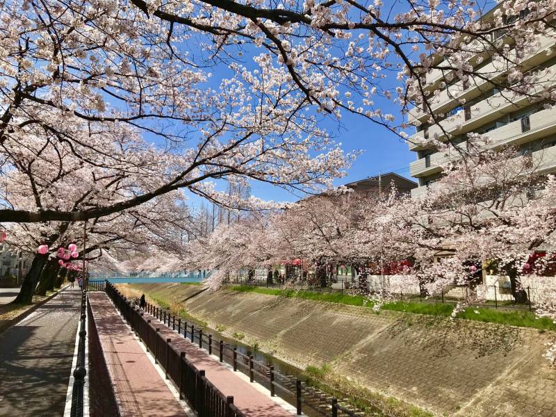 建物前の遊歩道。絶好の散歩コースです♪
