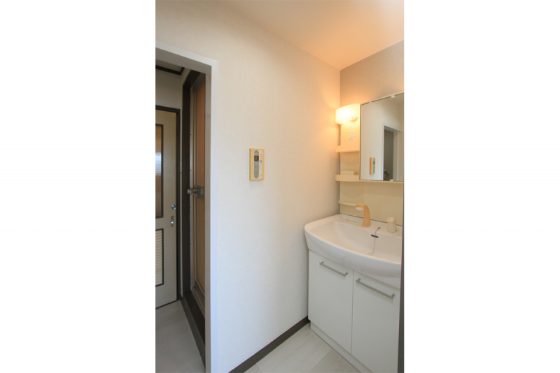 シャンプードレッサー