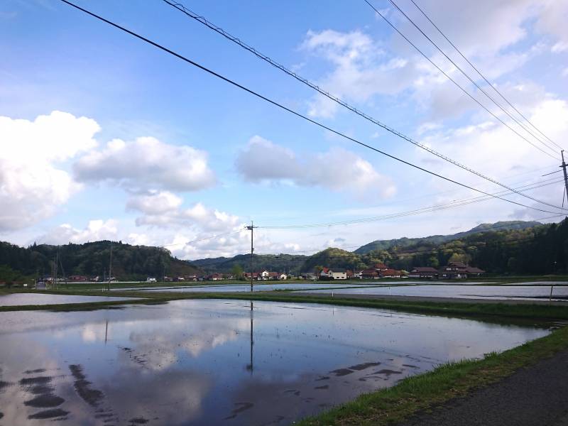 アパート敷地より約２分歩いた所の風景です。