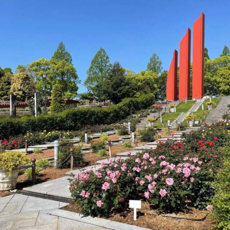 バラ公園まで徒歩１０分
閑静な住宅地です