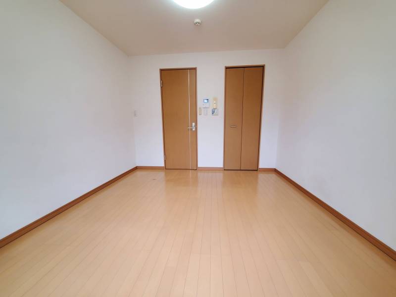 写真はイメージです