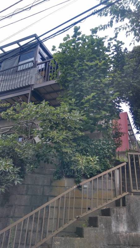 風通しがよく、静かで暮らしやすい立地です。