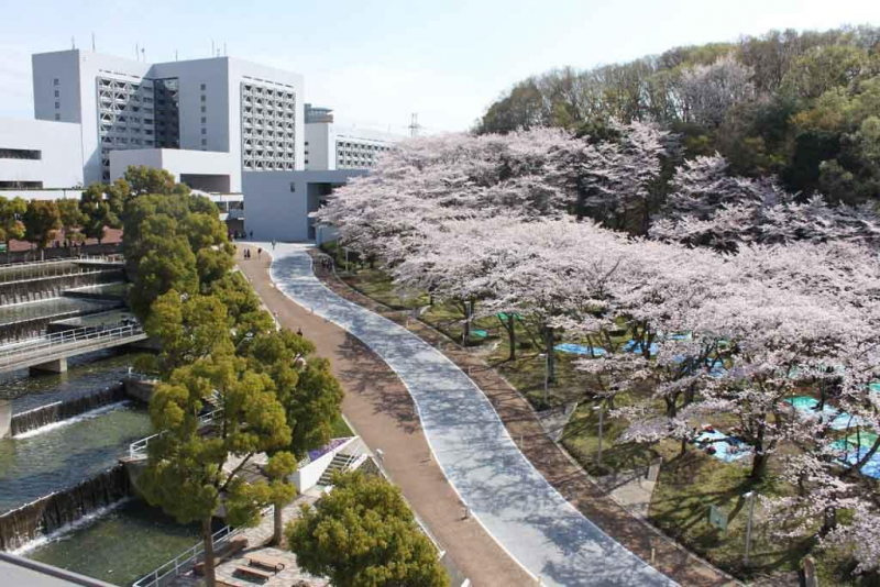 中央大学にも近い！
