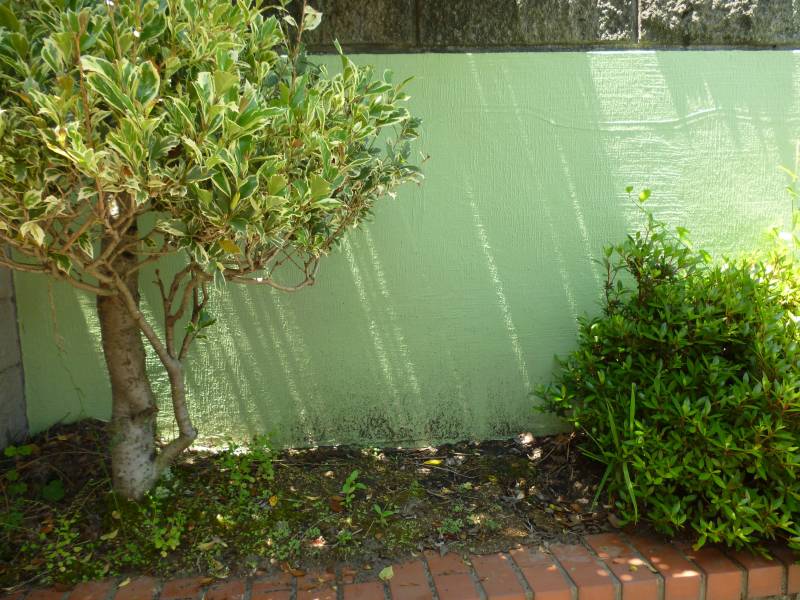 エントランス隣家との境にある植え込み部分