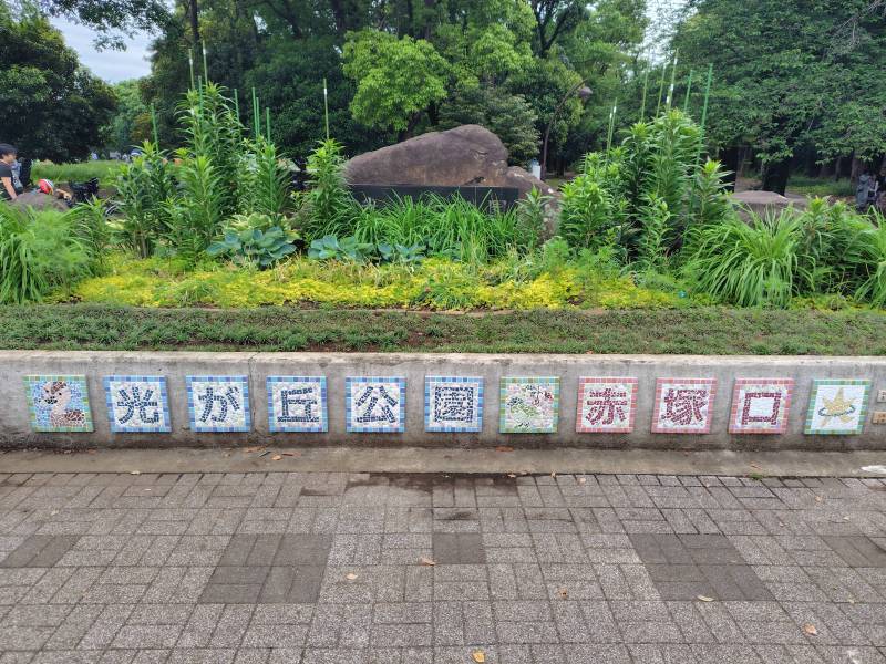 自然豊かで広くスポーツも活発な光が丘公園（徒歩12分）