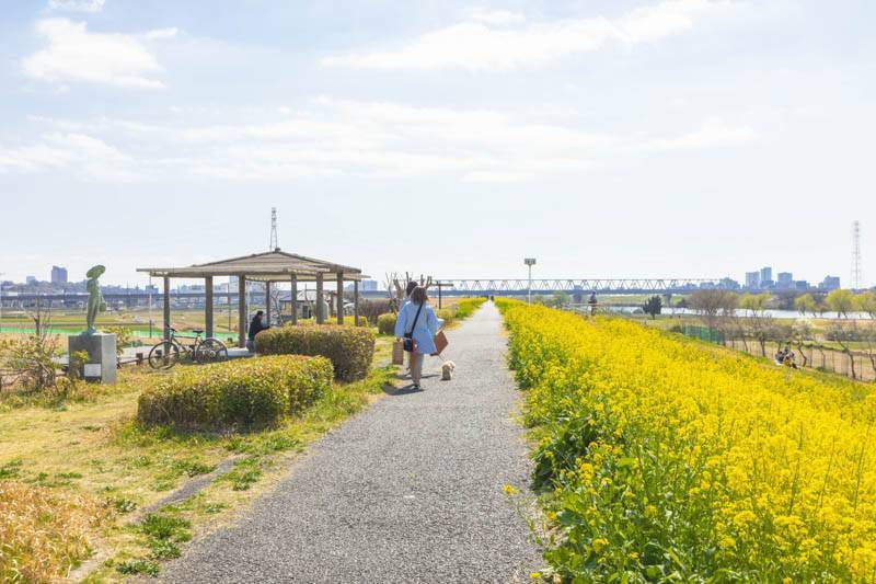 江戸川沿いの自然豊かな環境もあります。ペットも喜ぶ環境です