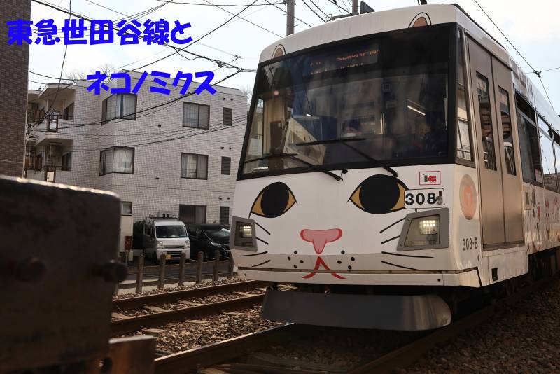 徒歩16分の上町駅周辺はおしゃれなお居酒屋やバーがたくさん