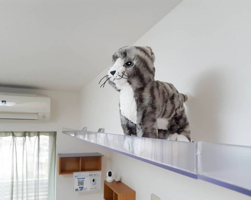 部屋を囲む形でキャットウォーク完備♪肉球が下から見れるかも？