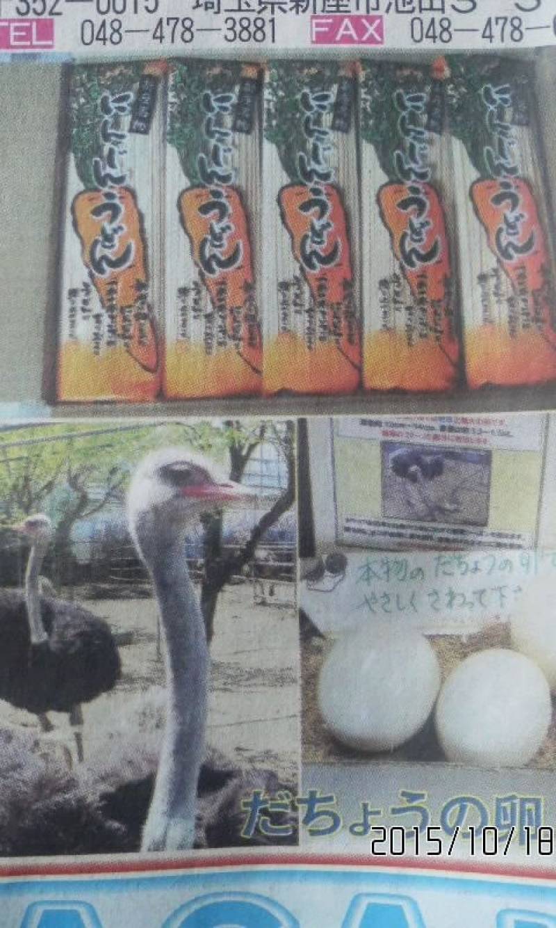 にんじんうどん♪駝鳥の卵牧場