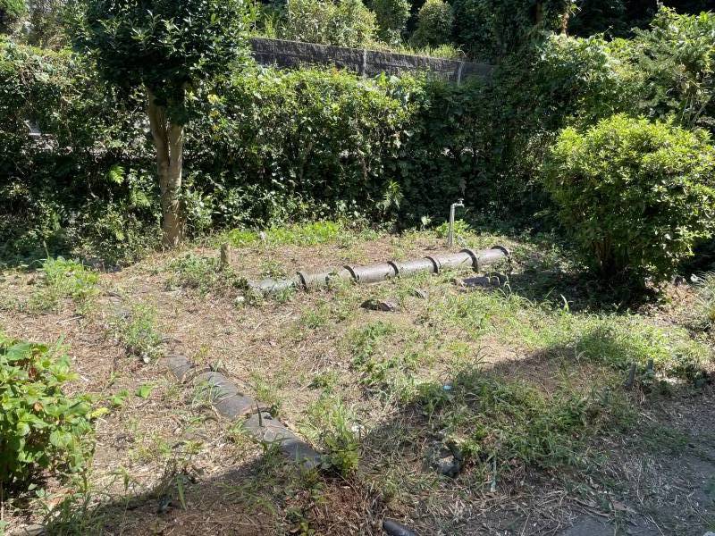 庭が広くガーデニングができます