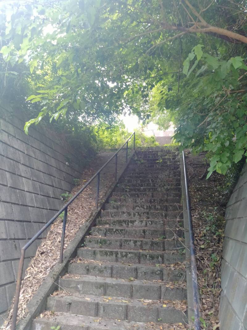 家のすぐそばの近道です。