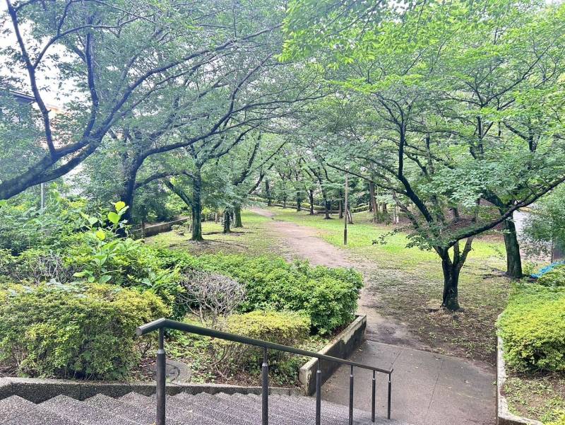 物件裏手の緑地