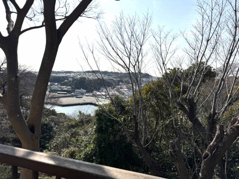 お部屋から浦賀湾が見えます
水面がキラキラしていてキレイです