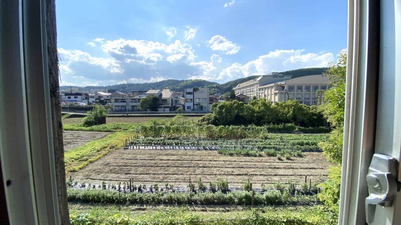 【窓からの穏やかな風景でストレス軽減】