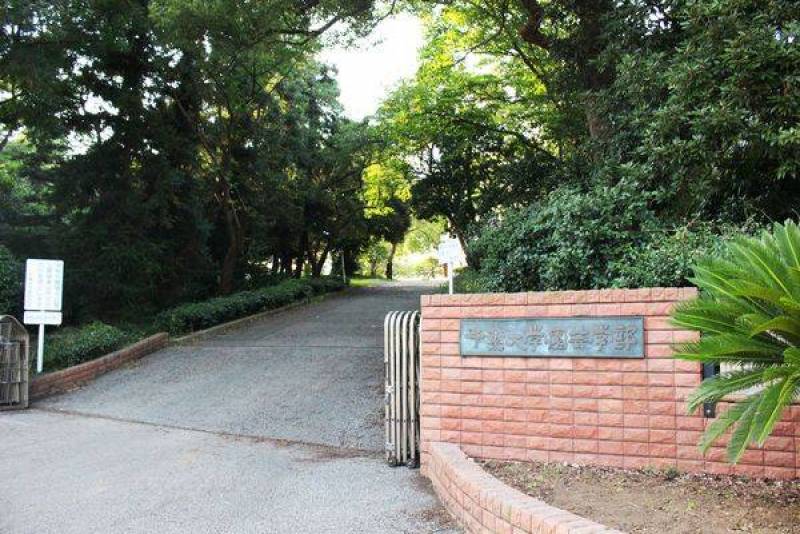 千葉大学園芸学部