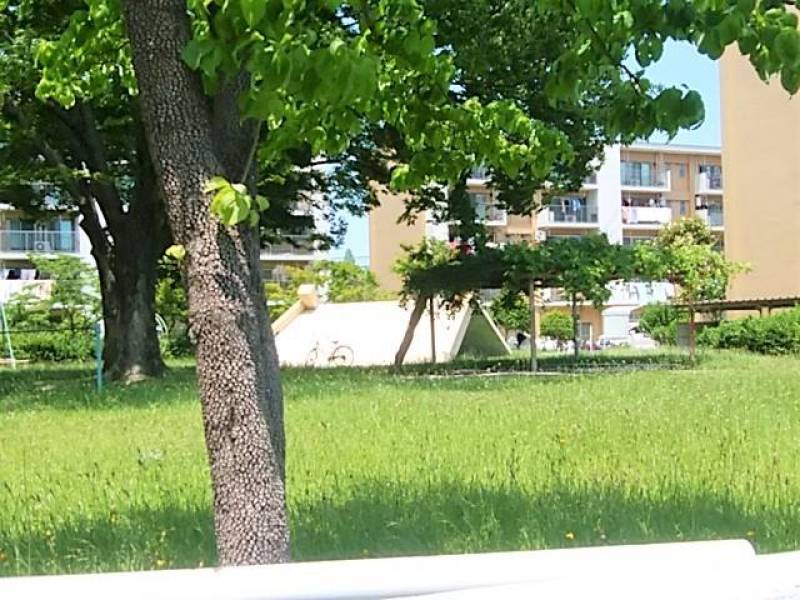 たくさんの芝生スペース・遊具・広々～小学校も敷地内で安全