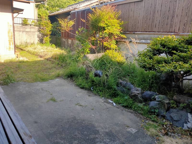 中庭全体