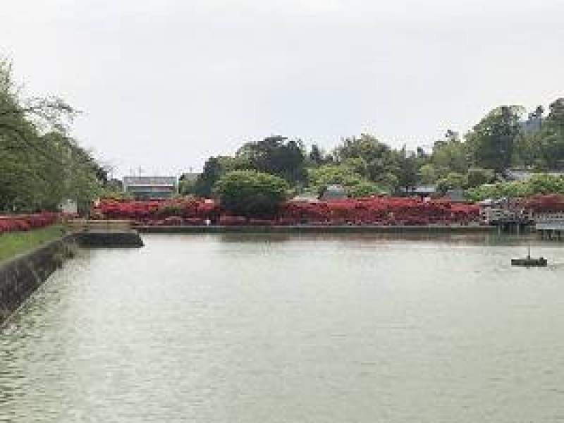 長岡天満宮　静かで良いところです。