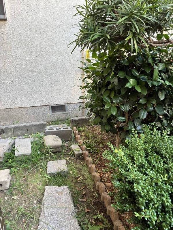玄関横　植栽