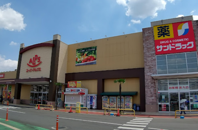 スーパーアルプス入間下藤沢店（徒歩16分）